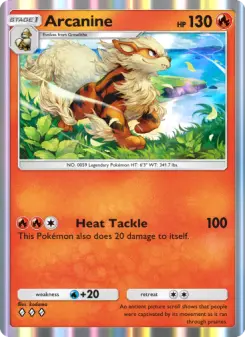 Arcanine 040/226