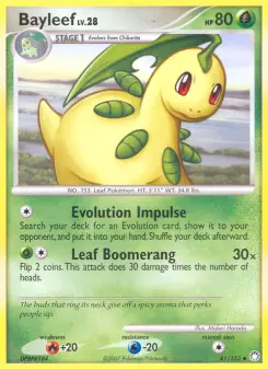 Bayleef 41/122