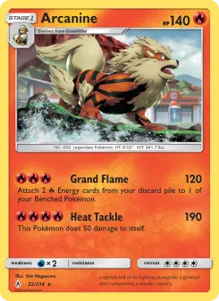Arcanine 22/214