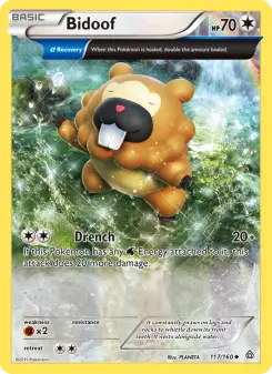 Bidoof 117/160